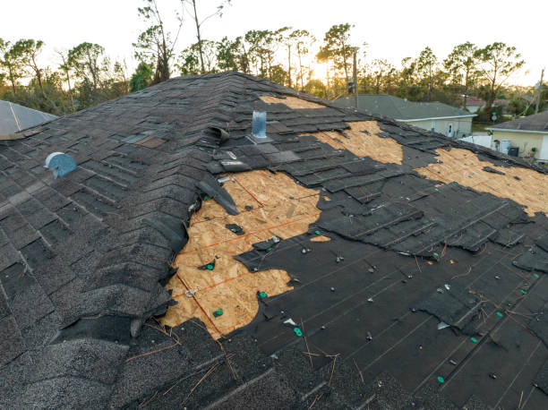Best Roof Installation  in North Pearsall, TX